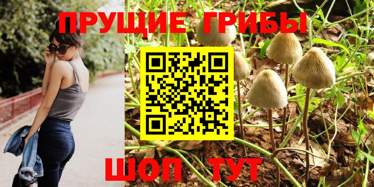 Галлюциногенные грибы ЛСД  Вход с VPN  где можно купить   Малоярославец  Галлюциногенные грибы Psilocybine cubensis 