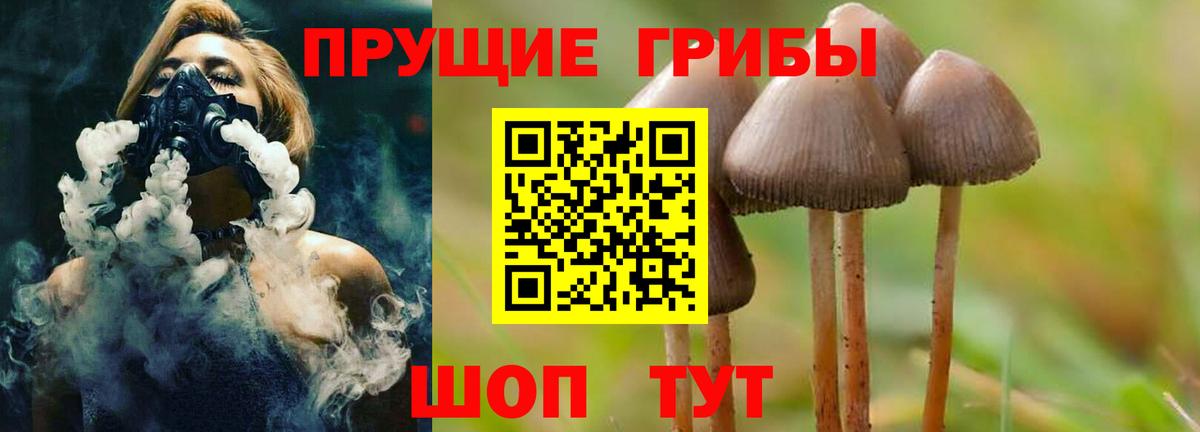 Галлюциногенные грибы мицелий Малоярославец